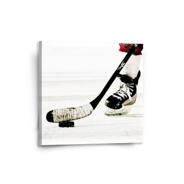 Obraz Lední hokej