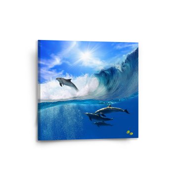 Obraz Delfíni ve vlnách