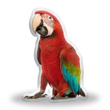 3D polštář ve tvaru Papoušek