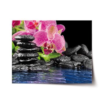 Plakát Orchidej na kamenech