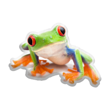 3D polštář ve tvaru Žába