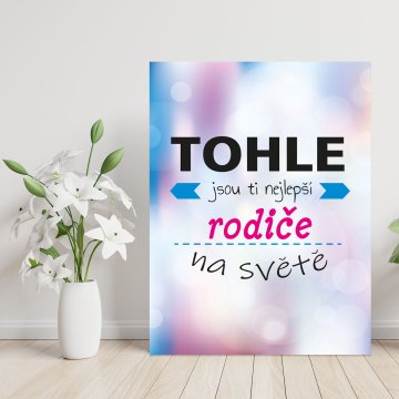 Dárková cedulka Tohle jsou ti nejlepší rodiče na světě: 30x40 cm