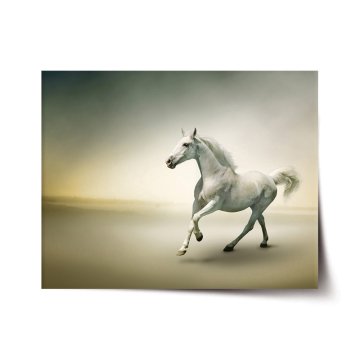 Plakát Bílý kůň 2