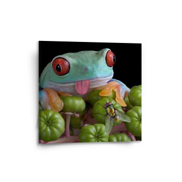 Obraz Veselá žába