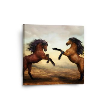 Obraz Vzpínající se koně