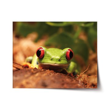 Plakát Zelená žába
