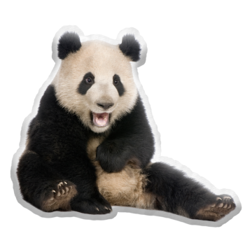 3D polštář ve tvaru Panda
